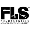 FLS_logo