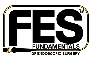 FES_logo-web