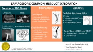 Laparoscopic Common Bile Duct Exploration Visual Graphic