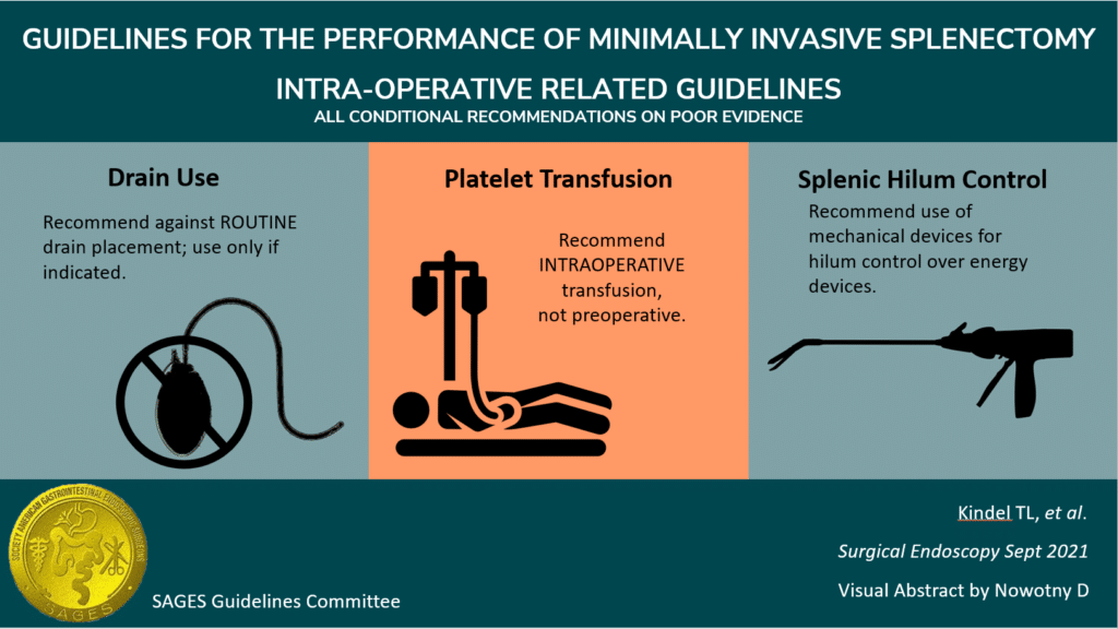 Guidelines for the performance of minimally invasive splenectomy - Intra-operative related guidelines